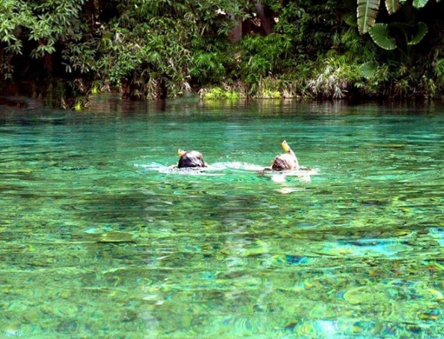  snorkeling nei cenotes 